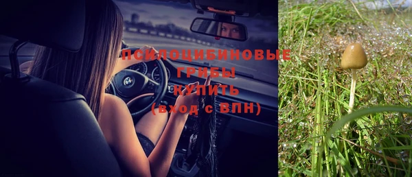 хмурый Абаза