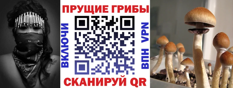 Галлюциногенные грибы MAGIC MUSHROOMS Безенчук